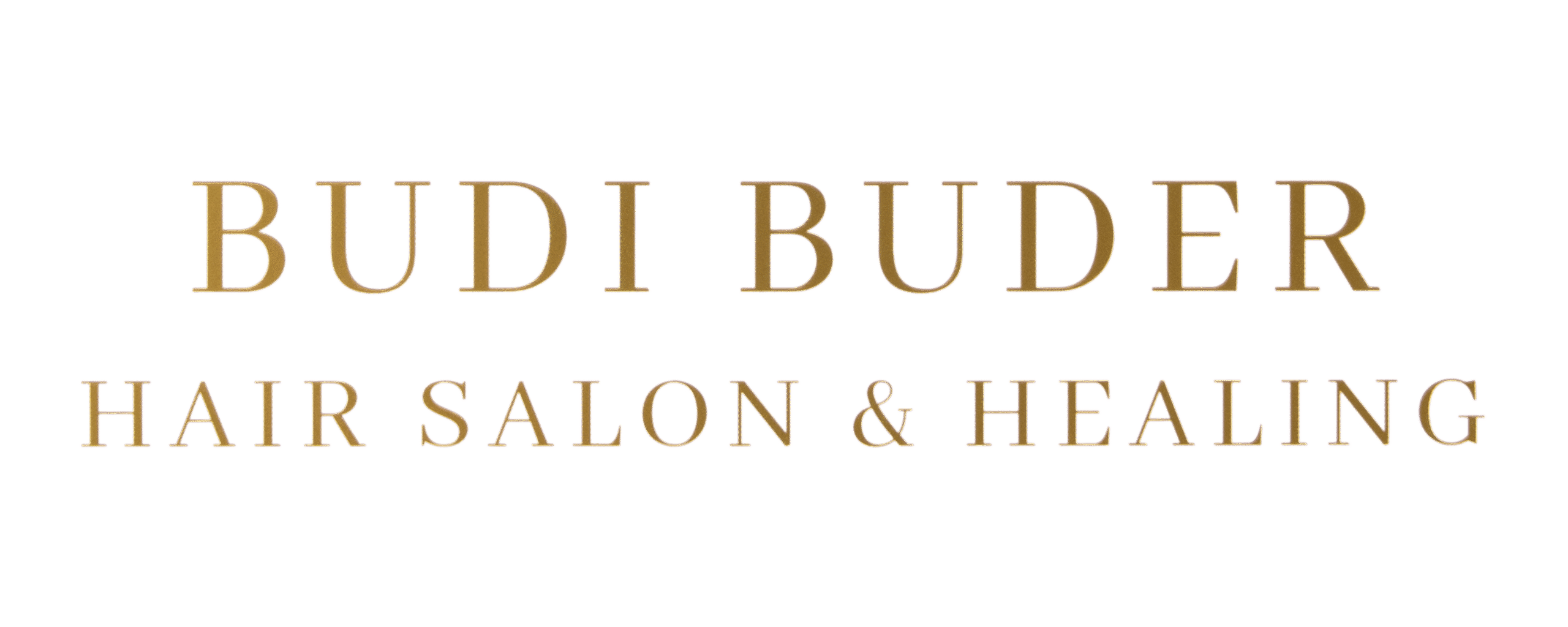 HAIRSALON&HEALING    BUDIBUDER